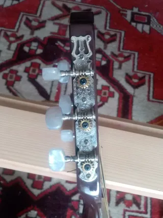 Guitarra clásica españolaola con funda.