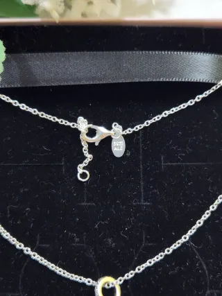 Cadena con corazón Alado brillante