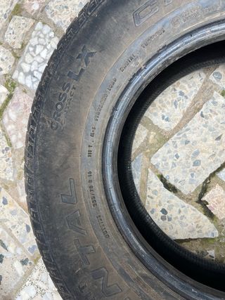 4 Ruedas Continental: 2 carretera y 2 mixtas