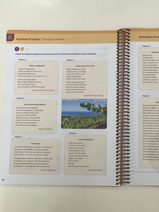 Llengua Catalana i Literatura 1