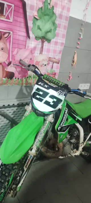 Kawasaki KX 250 Motocross Verde