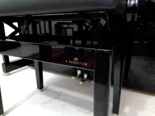 Piano Acústico Bechstein A124