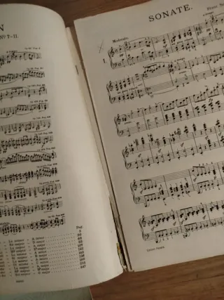 Partitura antigua Schubert Sonaten Band I y II