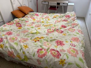 Artículos piso turistico