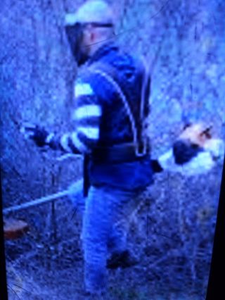 Limpio fincas parcelas y chalet