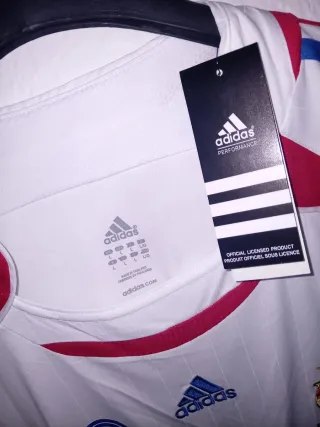 Maglietta retro calcio Ribery 22