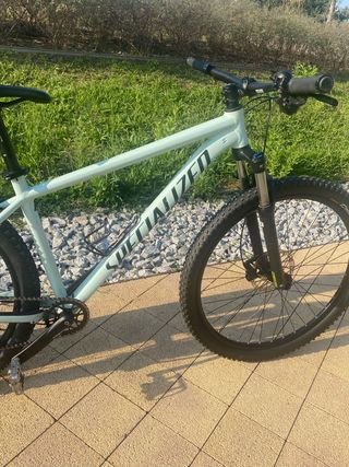 bicicleta 29