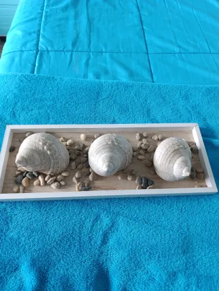 Decoración bandeja, conchas y piedras