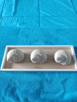 Decoración bandeja, conchas y piedras