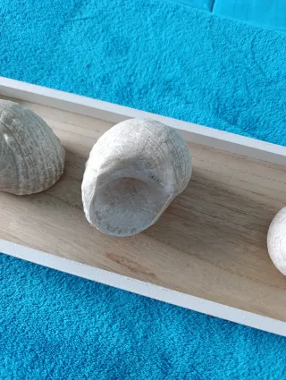 Decoración bandeja, conchas y piedras