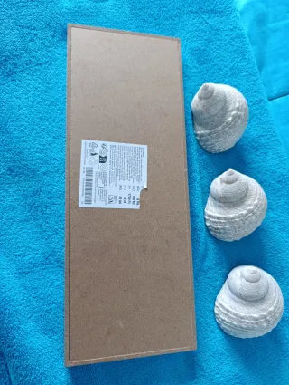 Decoración bandeja, conchas y piedras