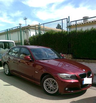 BMW Serie 3 2010