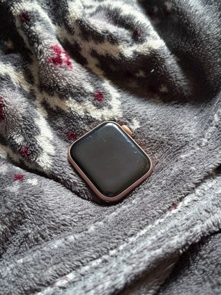 Apple Watch Series 4 40mm (sin correa)