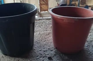 2 Macetas Plástico + 1 Regalo