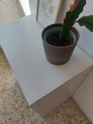 Escritorio Ikea blanco madera torald