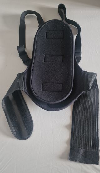 Espaldera protectora moto