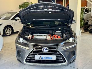Lexus NX 2018