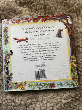 The Lonely Scarecrow