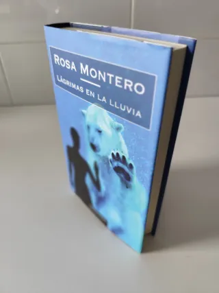 Lágrimas en la lluvia