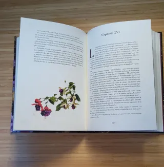 Orgullo y prejuicio (Jardín Secreto) (Spanish E...