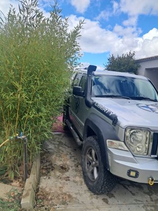 Jeep Cherokee liberty