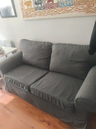 Sofá EKTORP 2 plazas Ikea gris