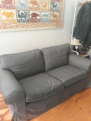 Sofá EKTORP 2 plazas Ikea gris