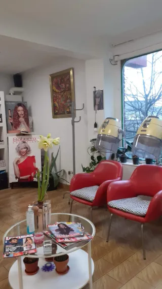 Secador de casco profesional