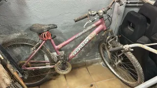 Bicicleta Boomerang Weekend