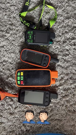 Eseek GPS para perros