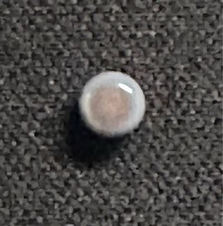 Perla natural almeja. Se encuentra una entre miles