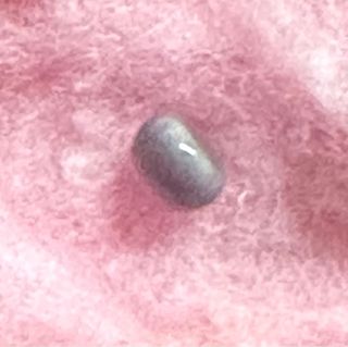 Perla natural almeja. Se encuentra una entre miles