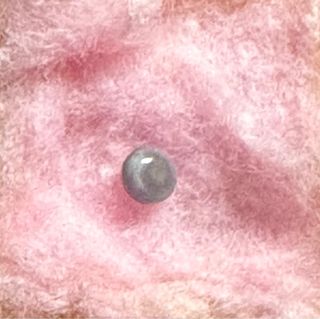 Perla natural almeja. Se encuentra una entre miles