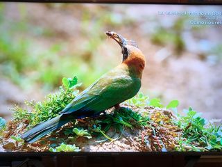 Hisense A7 50 4K UHD prácticamente sin usar.