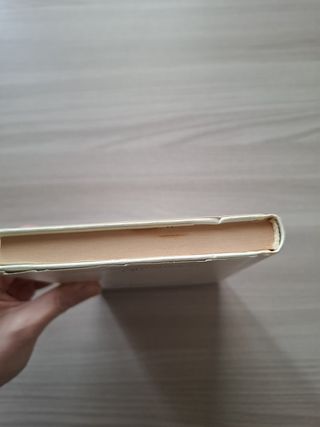 Libro "Il diavolo in corpo" di Raymond Radigurt