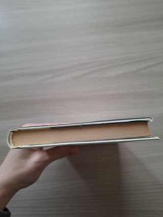 Libro "Il diavolo in corpo" di Raymond Radigurt