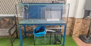 Acuario marino 300L con mueble y accesorios