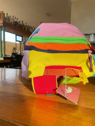 Mochila Cotopaxi 20L Multicolor