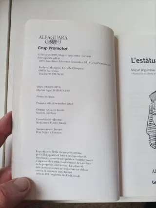 L'ESTATUA SENSE ROSTRE (Catalan Edition)