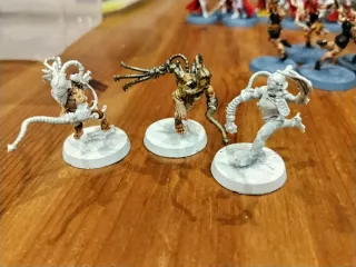 Hermanas de Batalla Adeptas Sororitas Canonesa