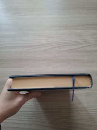 Libro "Figli miei rapiti" di Pamela Green