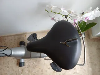 Bicicleta Estática BH