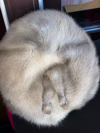 Gorro vintage de pelo,