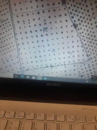 2.10ha con 140 olivos y casa