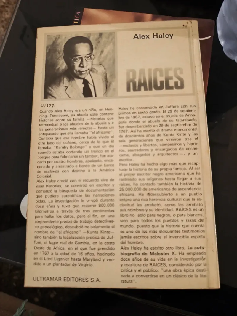Raices image 2
