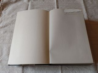 MANFREDI,VALERIO MASSIMO/Aléxandros