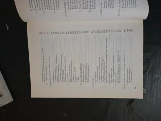 Los bubis ritos y creencias