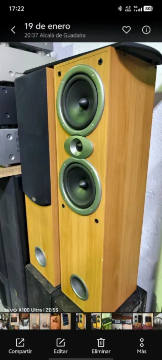 Altavoces columnas madera y negro