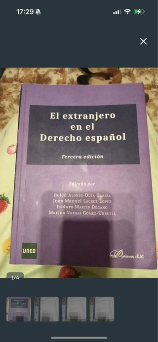 El extranjero en el derecho español