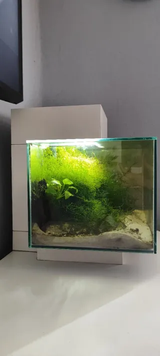 Acuario Fluval Edge 23L